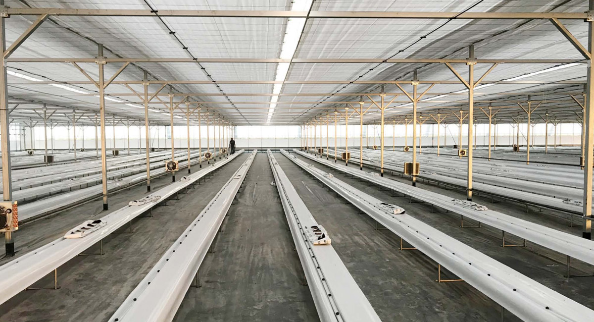 土耳其模式溫室