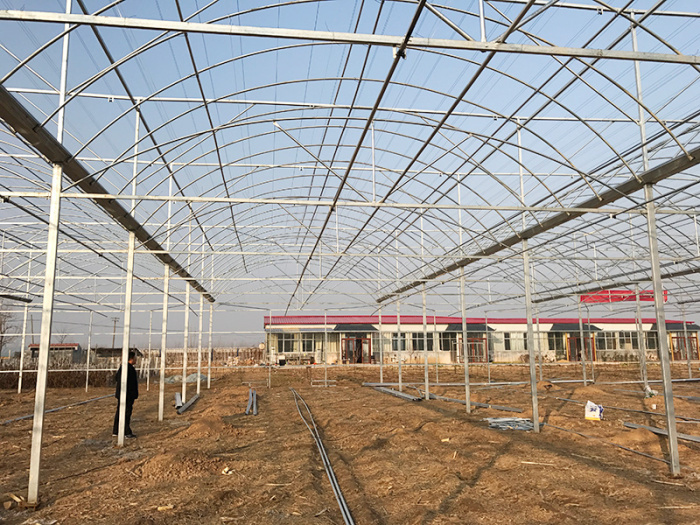 連棟薄膜溫室3