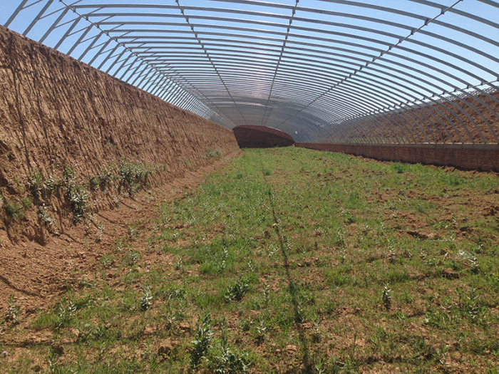 日光溫室4