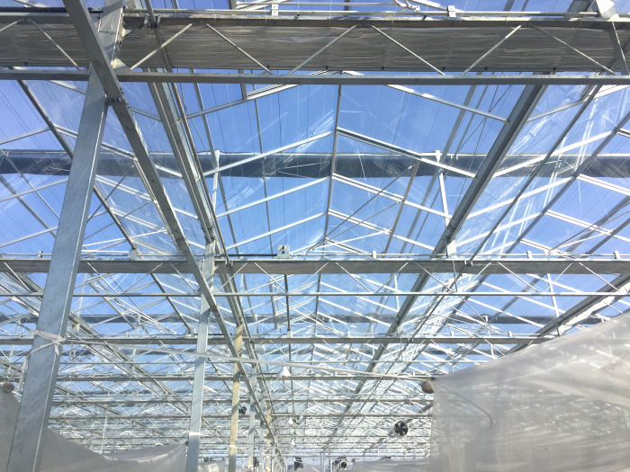 連棟智能溫室 (2)