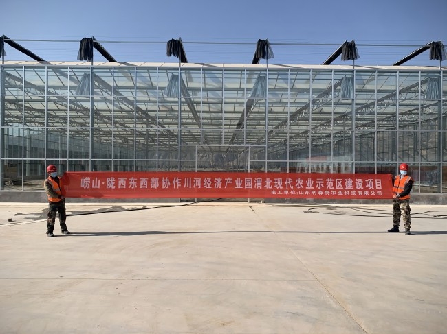 甘肅隴西玻璃溫室項目