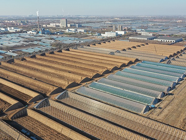 壽光利森特?cái)?shù)字化農(nóng)業(yè)科創(chuàng)園641畝
