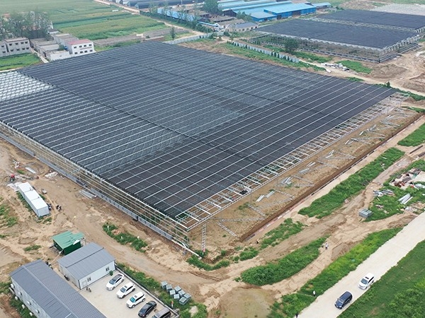 湖南省株洲市15040平方玻璃溫室